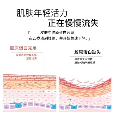 鳄鱼多肽胶原蛋白饮品口服液鱼胶原蛋白小分子活性肽厂批代发零售图4