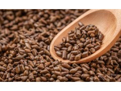 决明子茶：明目通便助减肥！适合当水喝吗？