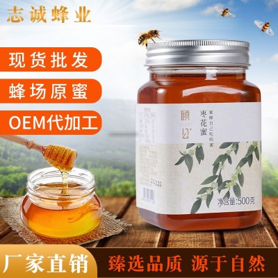 志诚蜂业产地货源顾公蜂蜜纯酿系列枣花蜜百花蜜500g批发