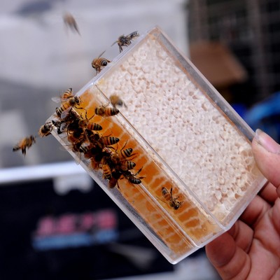 天然成熟蜂巢蜜整块嚼着吃现切蜂窝蜜农家蜂场自产纯正原蜜块盒装图3