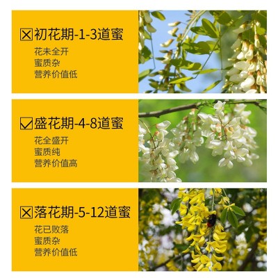 洋槐蜂蜜500克槐花蜜清淡香甜液态成熟蜜便携挤压瓶装单花蜂蜜图3