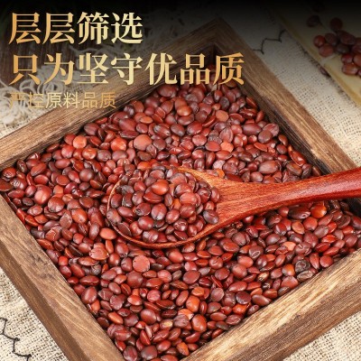 飒枫中药材酸枣仁 散装枣仁颗粒饱满图2