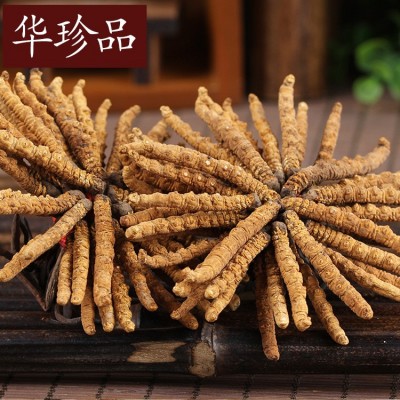 华珍品 冬虫夏草段草 冬虫夏草 批发一站式购全图5