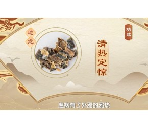 中药“地龙”有清热定惊、通经活络、止咳平喘和利尿的作用