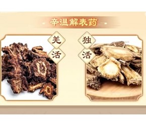中药“细辛”味辛性温，具有辛散温通、芳香透达的功效