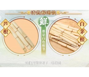 中药“白茅根”具有清热利尿、凉血止血、生津止渴的功效