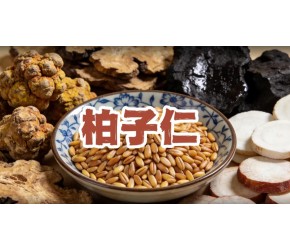 听故事学中药，今天讲柏子仁的故事