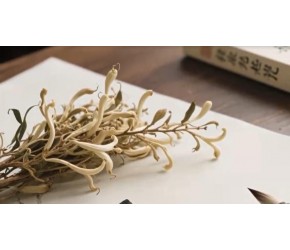 中药之金银花