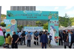 延长县：活力中医药 健康惠万家