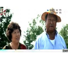 ​黑龙江​​旅游​​加​​养生​​ 健康新风尚​