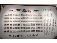 传承中医养生智慧 药食同源走进现代医疗