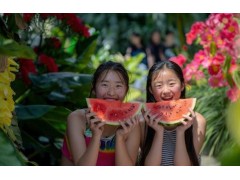疾病预防夏季养生不在于降温，而在于“护阳”！很多人都养反了