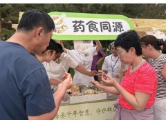 逛夜市、学中医、享理疗！巩留中医夜市周火热开启